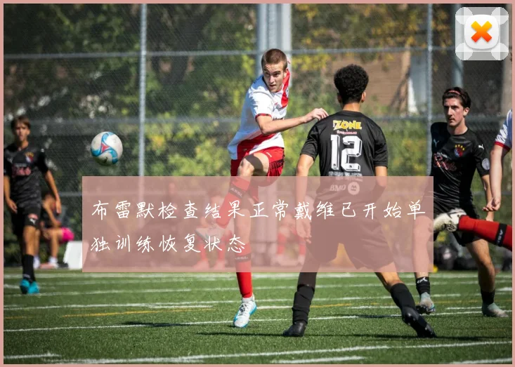 布雷默检查结果正常戴维已开始单独训练恢复状态