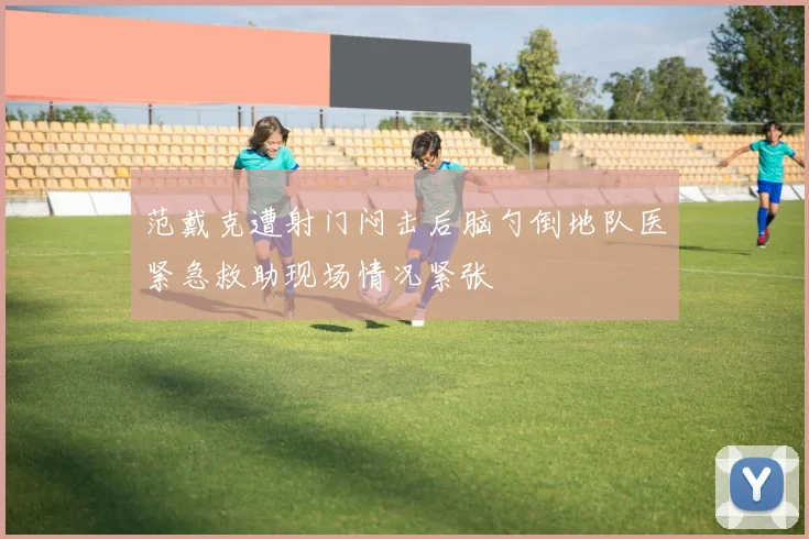 范戴克遭射门闷击后脑勺倒地队医紧急救助现场情况紧张