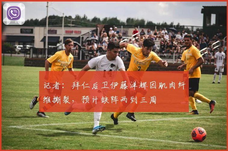 记者：拜仁后卫伊藤洋辉因肌肉纤维撕裂，预计缺阵两到三周