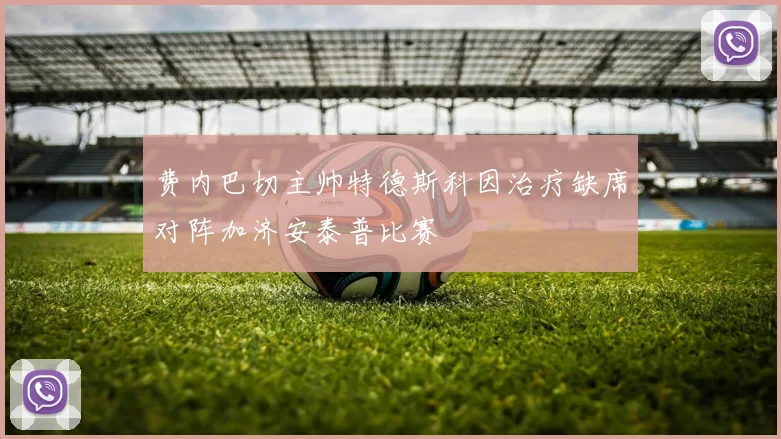 费内巴切主帅特德斯科因治疗缺席对阵加济安泰普比赛